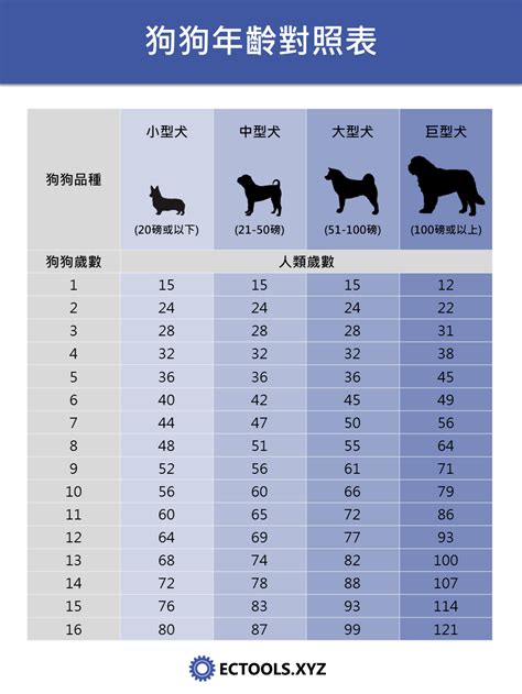 狗生肖幾歲